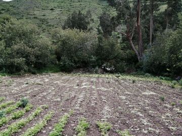 VENTA TERRENO EN YANACONA-URUBAMBA