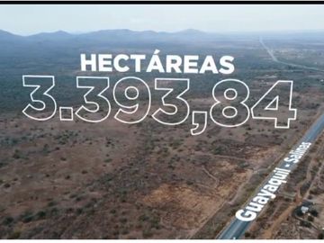 VENTA MACRO-LOTE  3.393,80 Has. vía a la Costa, km. 80, en el sector Engunga-Olmedo, parroquia Chanduy-Cantón Sta. Elena. TIENE 4.1 Km. frente a la via. Ideal para bananeras, camaroneras, Ecoturismo-Rural etc.