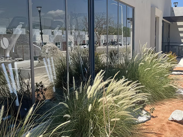 🏡 ¡Vive en Hemisferia, el hábitat contemporáneo de Cabo San Lucas! 🏖️