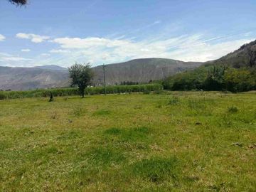 Venta de 1 hectárea de terreno en Imbaya