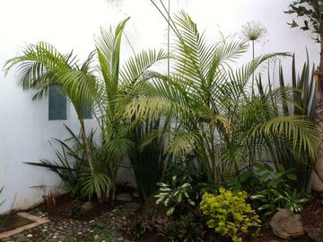 Casa Estilo Mexicano Contemporáneo en privada con áreas verdes y juegos infantiles