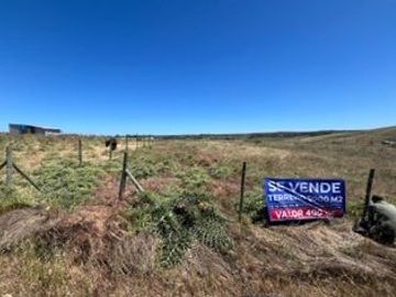 ¡¡OFERTA !!: PARCELA DE 5.000 M2 EN BUCALEMU – SANTO DOMINGO - FUNDO LA CABAÑA BUCALEMITO