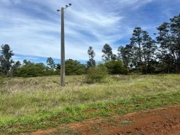 OPORTUNIDAD: TERRENO DE 3,3 HÁ - LOS ANGELES KM 484 RUTA 5 SUR