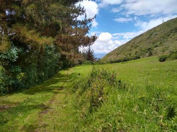 Venta de Hacienda de 40 hectáreas en Imantag