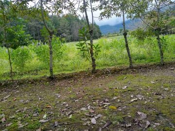 Venta de Hacienda de 40 hectáreas en Imantag
