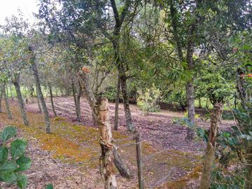Venta de Hacienda de 40 hectáreas en Imantag