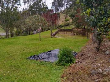Venta de Hacienda de 40 hectáreas en Imantag