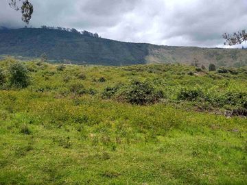 Venta de Hacienda de 40 hectáreas en Imantag