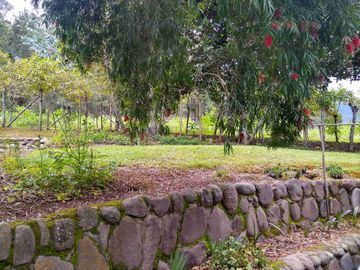 Venta de Hacienda de 40 hectáreas en Imantag