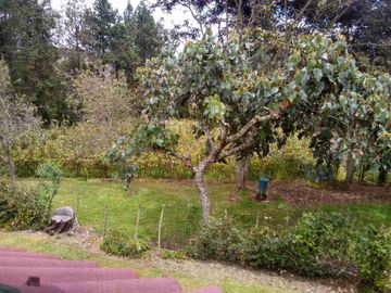 Venta de Hacienda de 40 hectáreas en Imantag