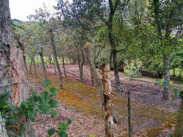 Venta de Hacienda de 40 hectáreas en Imantag