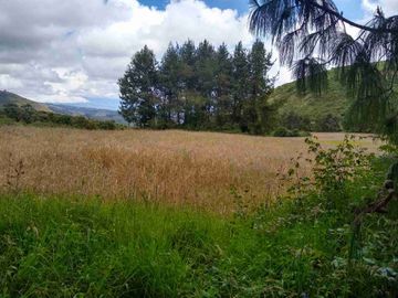 Venta de Hacienda de 40 hectáreas en Imantag