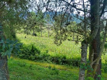Venta de Hacienda de 40 hectáreas en Imantag