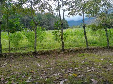 Venta de Hacienda de 40 hectáreas en Imantag