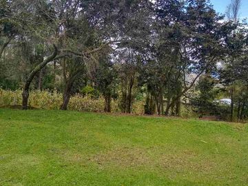 Venta de Hacienda de 40 hectáreas en Imantag