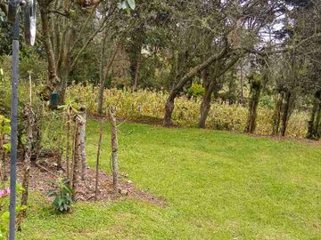 Venta de Hacienda de 40 hectáreas en Imantag
