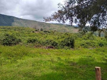 Venta de Hacienda de 40 hectáreas en Imantag