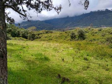 Venta de Hacienda de 40 hectáreas en Imantag