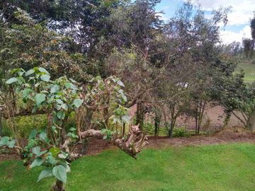 Venta de Hacienda de 40 hectáreas en Imantag