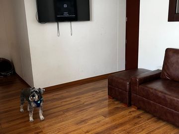 ✨ ¡DEPARTAMENTO EN VENTA EN SURQUILLO! ✨
