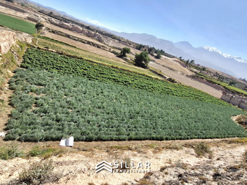 VENTA TERRENO, PAMPAS DEL CURAL, CERRO COLORADO