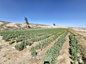 VENTA TERRENO, PAMPAS DEL CURAL, CERRO COLORADO