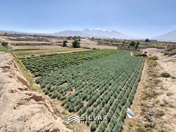 VENTA TERRENO, PAMPAS DEL CURAL, CERRO COLORADO