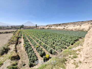 VENTA TERRENO, PAMPAS DEL CURAL, CERRO COLORADO