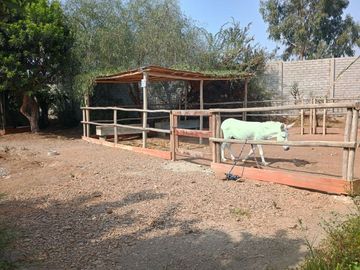 Vendo hermosa casa de campo en Las Lomas de Asia Cañete-Lima
