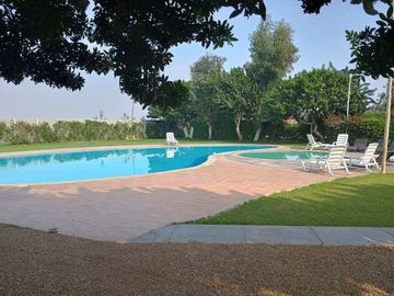 Vendo hermosa casa de campo en Las Lomas de Asia Cañete-Lima
