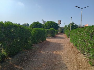 Vendo hermosa casa de campo en Las Lomas de Asia Cañete-Lima