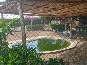 Vendo hermosa casa de campo en Las Lomas de Asia Cañete-Lima