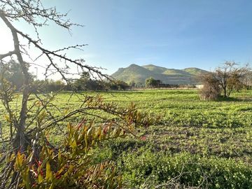 Sitio, Cond. Por Av. El Valle, Algarrobos, Piedra Roja, Chicureo Oriente