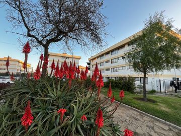 Vendo excelente dpto para inversión, Miraflores Alto