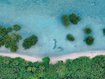 Quality and Very Affordable Beachfront