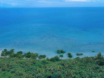 Quality and Very Affordable Beachfront