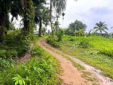 Over 6 Rai of Rubber Plantation Land for Sale in Takua Thung, Phang Nga