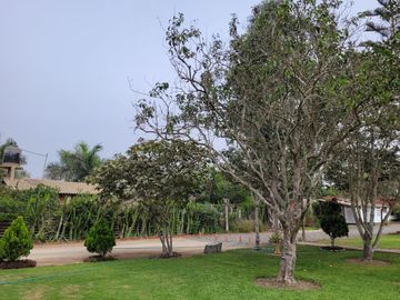 VENDO CASA  EN CIENEGUILLA – MALECON LURIN UBICACION TRANQUILA – RESIDENCIAL