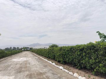 Venta Terreno Praderas Del Sur Mala Cañete