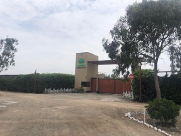 Venta Terreno Praderas Del Sur Mala Cañete