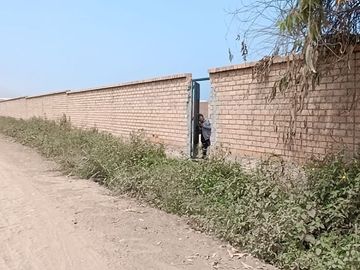 ! SE VENDE EXCELENTE TERRENO EN AUCALLAMA, CHANACAY HUARAL