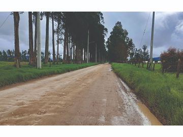 Vendo Finca en Tocancipa para Floricultura, Agrícultura y Ganadería.