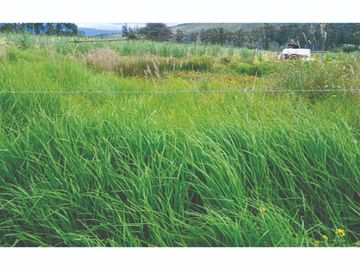 Vendo Finca en Tocancipa para Floricultura, Agrícultura y Ganadería.