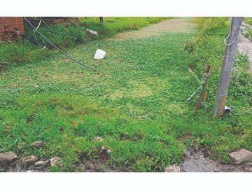 Vendo Finca en Tocancipa para Floricultura, Agrícultura y Ganadería.