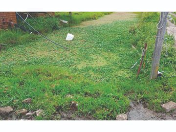 Vendo Finca en Tocancipa para Floricultura, Agrícultura y Ganadería.