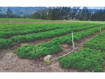 Vendo Finca en Tocancipa para Floricultura, Agrícultura y Ganadería.