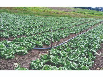 Vendo Finca en Tocancipa para Floricultura, Agrícultura y Ganadería.