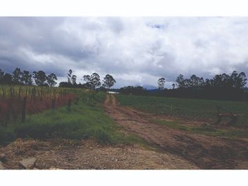 Vendo Finca en Tocancipa para Floricultura, Agrícultura y Ganadería.