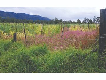 Vendo Finca en Tocancipa para Floricultura, Agrícultura y Ganadería.