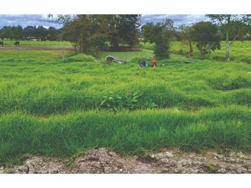 Finca en Venta Tocancipa para Floricultura, Agrícultura y Ganadería.